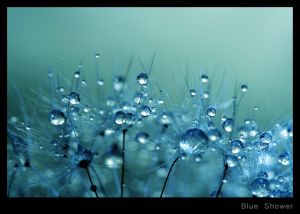 Blue Shower.jpg